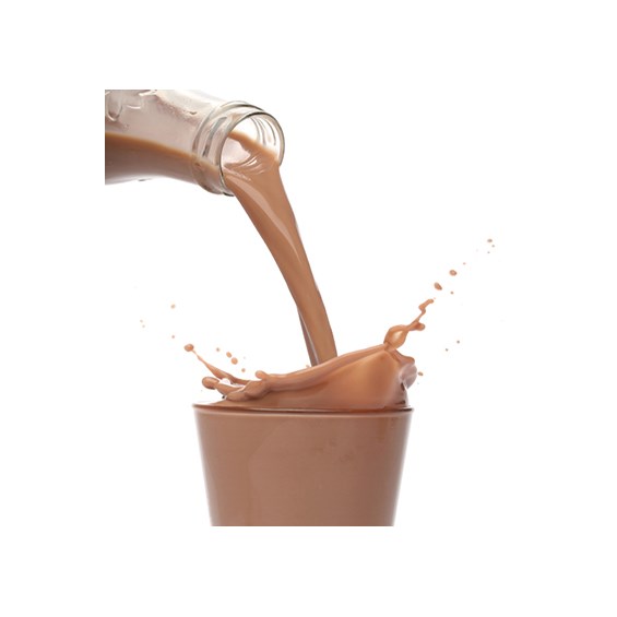 bernard-high-protein-plus-chocolate-milkshake-mix