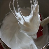 bernard-egg-white-solids